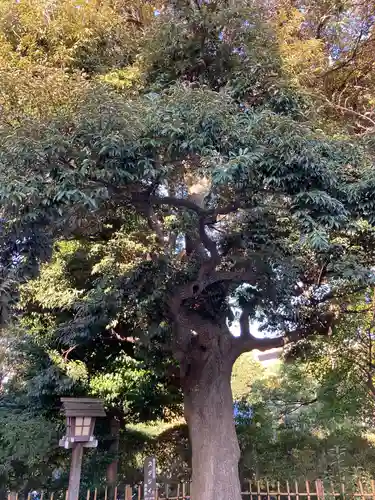 伊勢山皇大神宮の自然