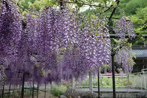 長泉寺の庭園