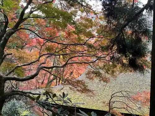 室生寺奥の院(奈良県)