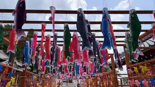 金井神社の{uncategorized: "未分類", other: "その他", undefined: "問題あり", building: "その他建物", grave: "お墓", sacred_gate: "鳥居", guardian: "狛犬", statue: "像", buddha: "仏像", history: "歴史", nature: "自然", garden: "庭園", animal: "動物", pagoda: "塔", temizu: "手水舎", mountain_gate: "山門・神門", sanctuary: "本殿・本堂", subordinate: "末社・摂社", art: "芸術", scenery: "景色", jizo: "地蔵", ema: "絵馬", goshuin: "御朱印", omikuji: "おみくじ", items: "授与品その他", amulet: "お守り", goshuincho: "御朱印帳", eats: "食事", festival: "お祭り", votive_dance: "神楽", shichigosan: "七五三参", wedding: "結婚式", experience: "体験その他", initially: "初詣", around: "周辺", anti_infection: "感染症対策"}