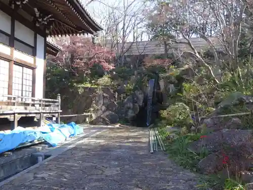 妙蓮寺の庭園