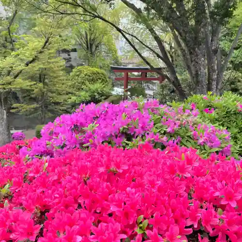 根津神社(東京都)
