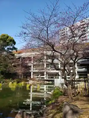 東郷神社(東京都)