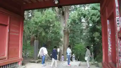 羽黒山五重塔(出羽三山神社)(山形県)