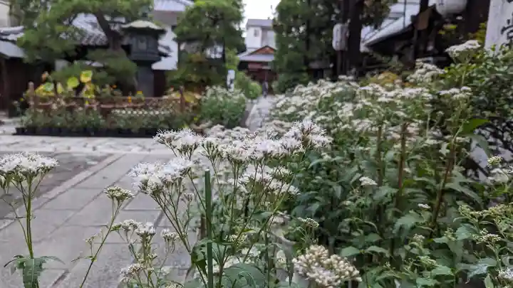 行願寺(革堂)(京都府)