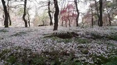 城南宮(京都府)