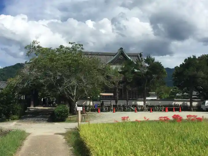 橘寺の本殿・本堂