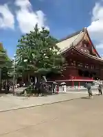 浅草寺の本殿・本堂