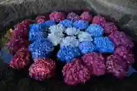 田村神社の手水舎