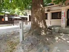 服織神社（真清田神社境内社）の建物その他