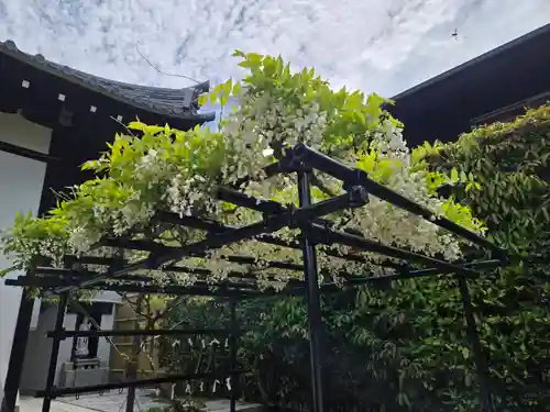 不空院(奈良県)