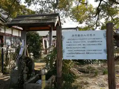 金蓮寺の手水舎