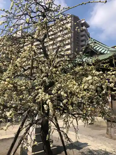 胡録神社の自然