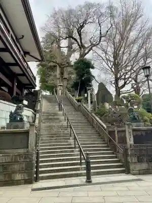 成田山新勝寺の{uncategorized: "未分類", other: "その他", undefined: "問題あり", building: "その他建物", grave: "お墓", sacred_gate: "鳥居", guardian: "狛犬", statue: "像", buddha: "仏像", history: "歴史", nature: "自然", garden: "庭園", animal: "動物", pagoda: "塔", temizu: "手水舎", mountain_gate: "山門・神門", sanctuary: "本殿・本堂", subordinate: "末社・摂社", art: "芸術", scenery: "景色", jizo: "地蔵", ema: "絵馬", goshuin: "御朱印", omikuji: "おみくじ", items: "授与品その他", amulet: "お守り", goshuincho: "御朱印帳", eats: "食事", festival: "お祭り", votive_dance: "神楽", shichigosan: "七五三参", wedding: "結婚式", experience: "体験その他", initially: "初詣", around: "周辺", anti_infection: "感染症対策"}