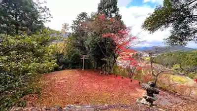 金比羅神社(京都府)