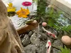 滑川神社 - 仕事と子どもの守り神(福島県)