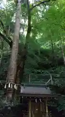 貴船神社(京都府)