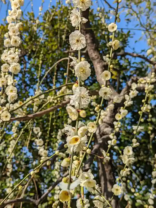 城南宮(京都府)