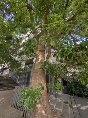 赤城神社(東京都)