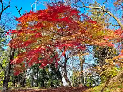 愛宕神社(山形県)