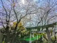 大矢知神社の自然