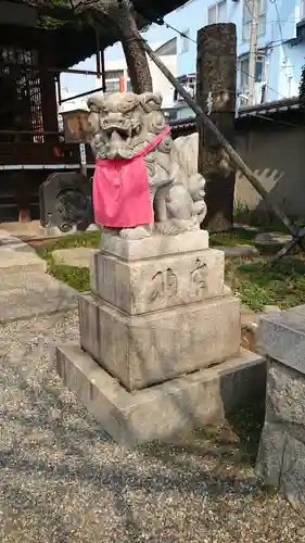 櫻井神社の狛犬