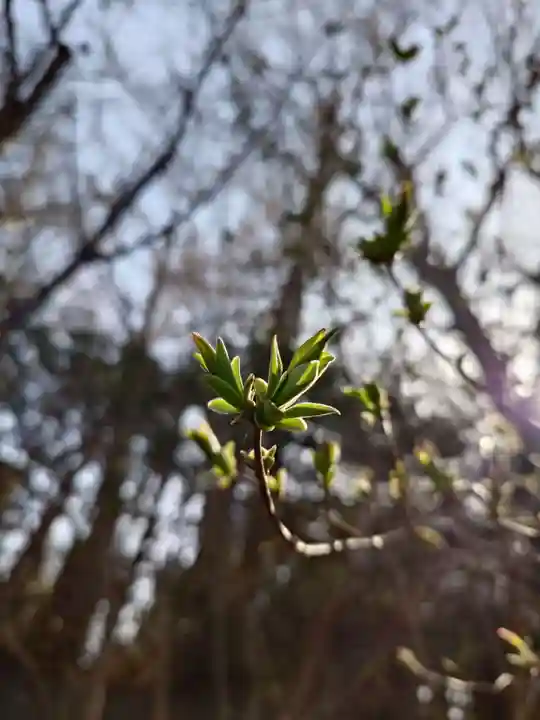 相馬神社(北海道)