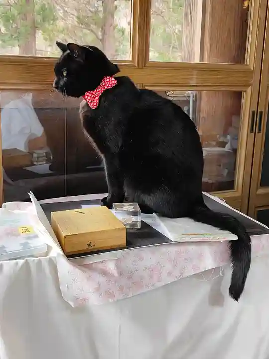 高司神社〜むすびの神の鎮まる社〜(福島県)