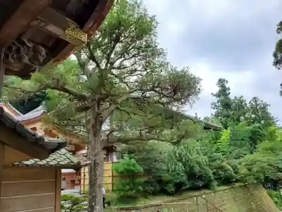 円覚寺のその他建物