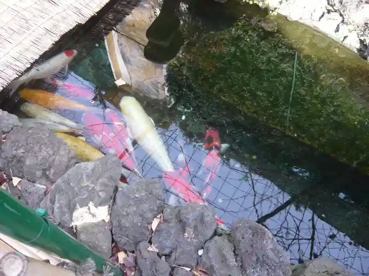 吉原弁財天本宮(吉原神社奥宮)(東京都)