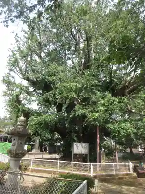 千葉寺のその他建物