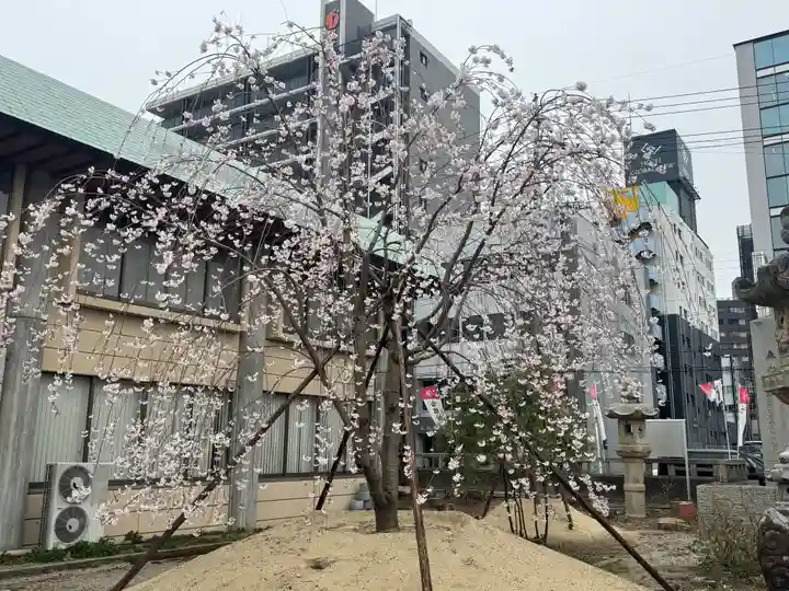 三重縣護國神社の自然