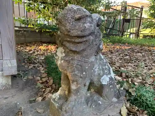 白幡神社の狛犬