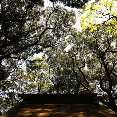 沼尾神社の自然