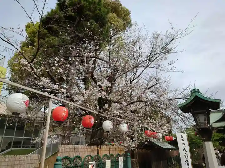 桜神宮(東京都)