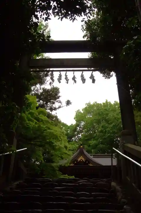 阿蘇神社(東京都)
