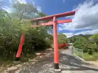 丸高稲荷神社の{uncategorized: "未分類", other: "その他", undefined: "問題あり", building: "その他建物", grave: "お墓", sacred_gate: "鳥居", guardian: "狛犬", statue: "像", buddha: "仏像", history: "歴史", nature: "自然", garden: "庭園", animal: "動物", pagoda: "塔", temizu: "手水舎", mountain_gate: "山門・神門", sanctuary: "本殿・本堂", subordinate: "末社・摂社", art: "芸術", scenery: "景色", jizo: "地蔵", ema: "絵馬", goshuin: "御朱印", omikuji: "おみくじ", items: "授与品その他", amulet: "お守り", goshuincho: "御朱印帳", eats: "食事", festival: "お祭り", votive_dance: "神楽", shichigosan: "七五三参", wedding: "結婚式", experience: "体験その他", initially: "初詣", around: "周辺", anti_infection: "感染症対策"}