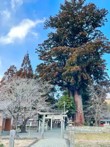 津田神社(三重県)