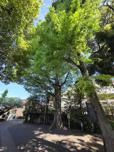 久が原西部八幡神社(東京都)