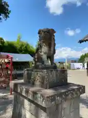 眞田神社の狛犬