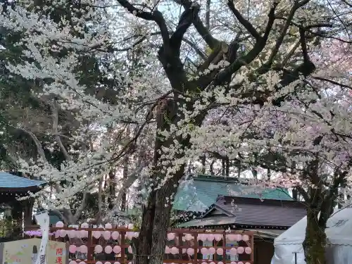 駒形神社の{uncategorized: "未分類", other: "その他", undefined: "問題あり", building: "その他建物", grave: "お墓", sacred_gate: "鳥居", guardian: "狛犬", statue: "像", buddha: "仏像", history: "歴史", nature: "自然", garden: "庭園", animal: "動物", pagoda: "塔", temizu: "手水舎", mountain_gate: "山門・神門", sanctuary: "本殿・本堂", subordinate: "末社・摂社", art: "芸術", scenery: "景色", jizo: "地蔵", ema: "絵馬", goshuin: "御朱印", omikuji: "おみくじ", items: "授与品その他", amulet: "お守り", goshuincho: "御朱印帳", eats: "食事", festival: "お祭り", votive_dance: "神楽", shichigosan: "七五三参", wedding: "結婚式", experience: "体験その他", initially: "初詣", around: "周辺", anti_infection: "感染症対策"}