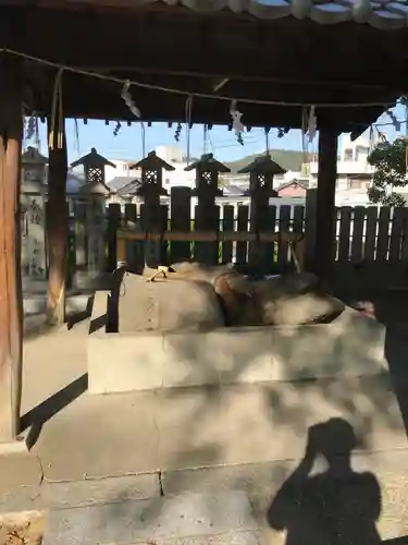 宇夫階神社の手水