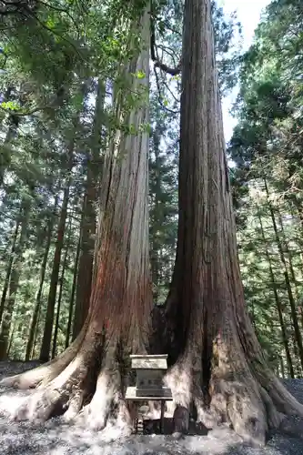三峯神社の自然