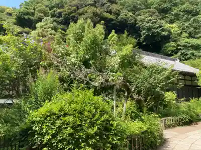 黄梅院(円覚寺塔頭)(神奈川県)