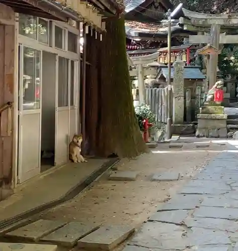 無動寺（延暦寺塔頭）(滋賀県)