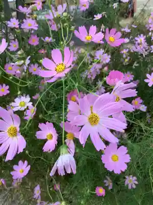 林光院(愛知県)