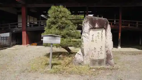 大通寺（長浜御坊）の建物その他