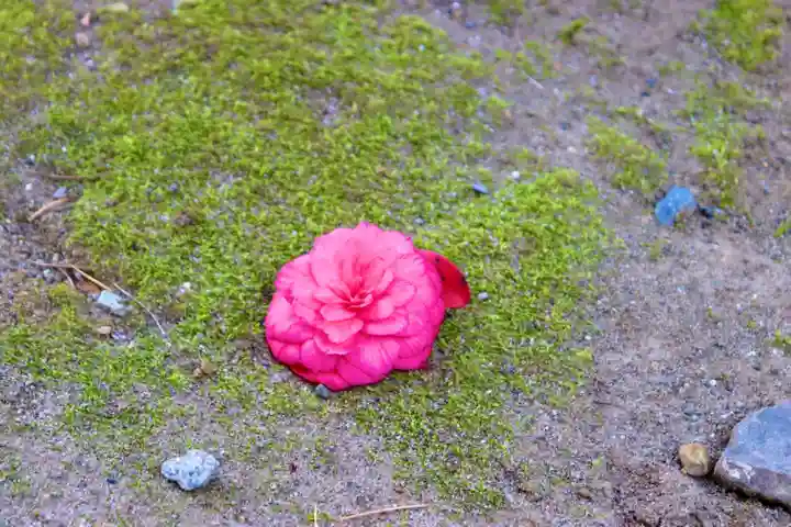 仙台八坂神社(宮城県)