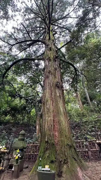 傑山寺(宮城県)