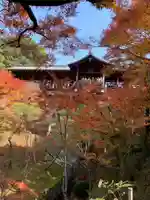 東福禅寺(東福寺)の自然